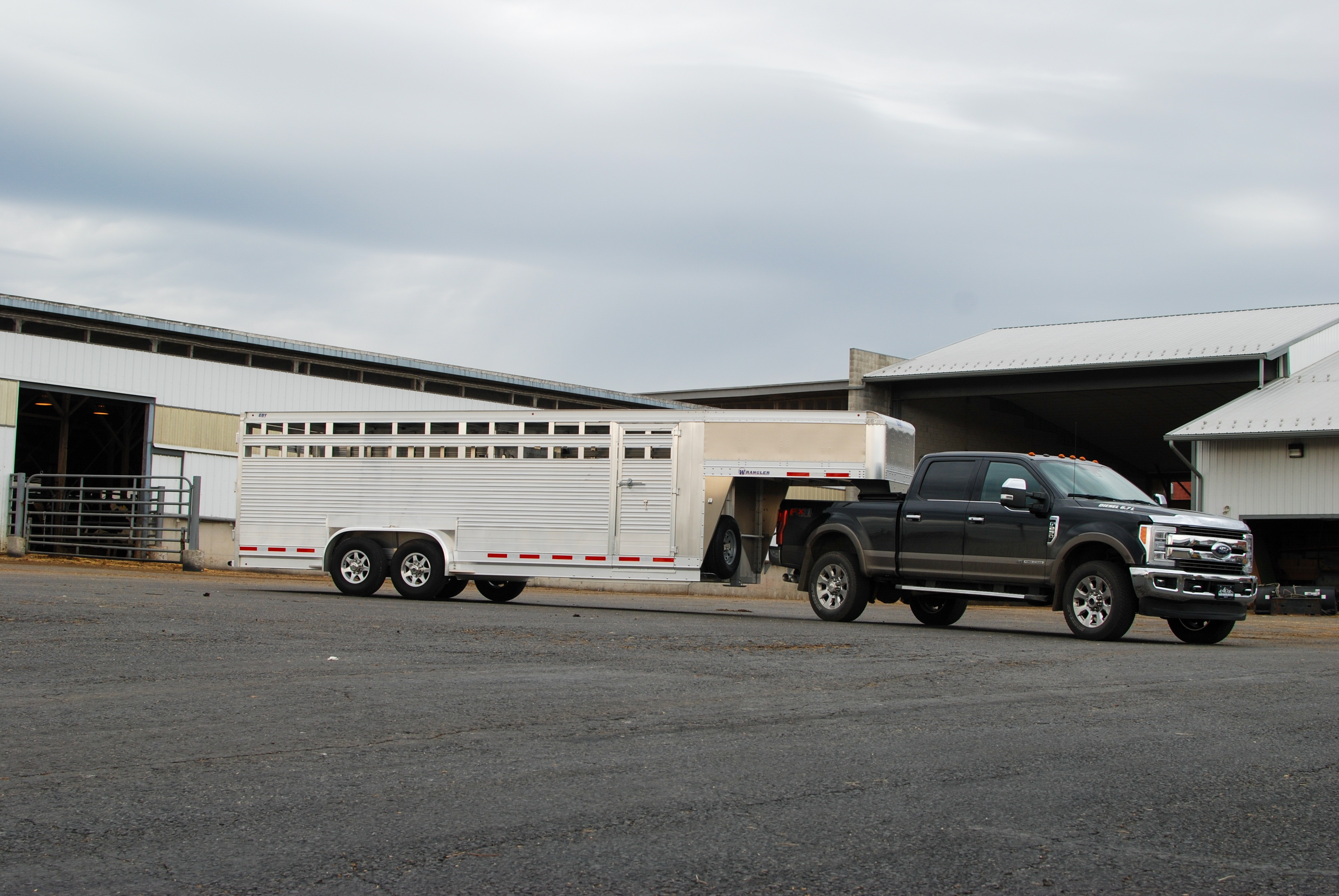 Wrangler Livestock Trailers MH EBY